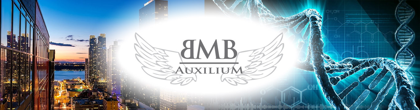 BMB AUXILIUM - Badania Marzenia Biznes Wsparcie
